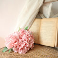 Miniatyrbillede 2 af 5: 1 Bundt Simuleret Pæon Dekorativ Ingen Vanding Kronblade Kunstige Blomster Bryllupsdekoration Light pink