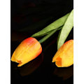 Miniatyrbillede 6 af 11: 12 stk. Kunstige Tulipaner Blomster Real Touch Tulipaner til Dekoration Falske Tulipaner Blomsterarrangementer Kunst Baby pink