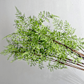Pikkukuva 2 / 5: Simuloitu vihreä kasvin lehti pehmeäkosketus saniaisen lehdet kukka-asetelmiin 33 Asparagus fern