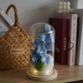 Miniatyrbild 1 av 2: Evighetsliljekonvalj Gåvor till Kvinnor, Virkad Konstgjord Blomdekor i Glaskupol med LED-ljusslinga Blue