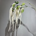 Pikkukuva 2 / 6: Simuloitu Riisi Häät Rakkaus Kyyneleet Pehmeä Silkki Riippuvat Kattokukat Kodin Sisustus Amaranthus caudatus