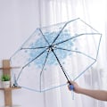 Pikkukuva 1 / 5: Läpinäkyvä automaattinen sateenvarjo naisille, kokoontaittuva aurinkovarjo sateeseen ja aurinkoon, tuulenpitävä, naisten sateenvarjot Manuaol Umbrella
