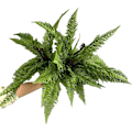 Miniatyrbillede 5 af 5: Kunstige bregneblade, falske planter, persisk løv, 15-delt sæt til dekoration Casing Persian Grass 15 leaves