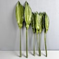 Miniatyrbillede 2 af 5: PU Føles Som Falske Orkideblade Høj Kvalitet Kunstigt Løv til Boligindretning PU large orchid leaf green