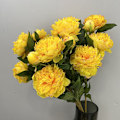 Miniatyrbild 3 av 6: Konstgjorda pionblommor Falska pioner Heminredning Bröllopsrekvisita Trippelpion Rose red green