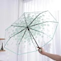 Miniatyrbillede 1 af 5: Transparent Automatisk Paraply Dame Paraply Foldbar Parasol Til Regn Og Sol Vindtæt Dame Regn Paraplyer green