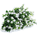 Miniatyrbillede 4 af 5: Kunstige Blomster, Falske UV-resistente Buksbom Buske Faux Plastik Grønne Planter White 4