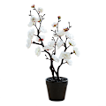 Miniatyrbilde 1 av 5: Kunstig Bonsai To Grener Dekorativ DIY Plommeblomst Falsk Blomsterpotte Hjem Romdekorasjon White A