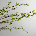 Miniatyrbild 4 av 5: Lång Gren Röd Böna Frukt Simulation Kvistar Konstgjorda Blomstjälkar Blomsterarrangemang Fotografi Rekvisita Long branch adzuki bean fruit 130cm