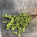 Miniatyrbild 2 av 5: Lång Gren Röd Böna Frukt Simulation Kvistar Konstgjorda Blomstjälkar Blomsterarrangemang Fotografi Rekvisita Long branch adzuki bean fruit 130cm