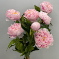 Miniatyrbild 2 av 5: Konstgjorda pionblommor Falska pioner Heminredning Bröllopsrekvisita Trippelpion White