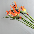 Pikkukuva 4 / 6: Pehmeäkosketuksinen paratiisilinnun kukka, tekokukat, Strelitzia, kodin sisustus, korkea jäljitelmä, yksittäinen varsi Medium Bird of Paradise White