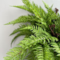 Miniatyrbillede 2 af 5: Kunstige bregneblade, falske planter, persisk løv, 15-delt sæt til dekoration Casing Persian Grass 15 leaves
