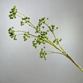 Miniatyrbillede 1 af 6: Fotografi Rekvisitter Boligindretning Kunstige Blomster Plastik Bær Vinstokke green