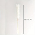 Miniatyrbillede 4 af 11: 4-pak 80 cm Fluffy Pampasgræs Kunstig Pampas Bordvase Dekoration Stor Tørret Blomsterbuket H White 4 Pcs