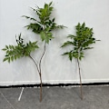Miniatyrbillede 2 af 6: Kunstig Nandina Boligindretning Blomsterdisplay Kunstigt Grønt Malet Træblade Lacquered wood two forks autumn red