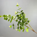 Pikkukuva 6 / 6: 3D-tulostettu 16-lehtinen eukalyptusrahapuu kodin sisustukseen Bundle of 16 money leaves dark green