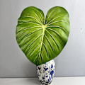 Miniatyrbillede 2 af 6: Stor Taktil Monstera Blad Kunstig Grøn Planteindretning i Maillard Farveskema Small Philodendron Small Deep Grain