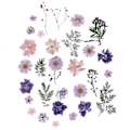 Miniatyrbillede 1 af 2: 27 stk./sæt Pressede Blomster Tørrede Blomster DIY Scrapbooking Blomst til Hjem Bryllup