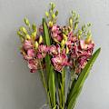 Pikkukuva 4 / 6: 4 KPL HEPA-suodatin Puuvillasuodatin Pölynimurin Vaihto 90304 90350 90333 LB650 QPL Spa -malleille