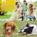 Miniatyrbillede 5 af 5: Hundetyggelegetøj, slidstærk knogle, uforgængeligt knoglelegetøj, slidstærk knogleformet legetøj, tandrensning og smart legetøj til hund