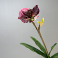 Miniatyrbilde 6 av 6: Simulert Paphiopedilum PVC Føles Ekte Kunstig Blomst Hjemmeinnredning 2-Hodet med Blader Orkidé Myk Dekor Green Elf