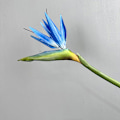 Pikkukuva 6 / 6: Pehmeäkosketuksinen paratiisilinnun kukka, tekokukat, Strelitzia, kodin sisustus, korkea jäljitelmä, yksittäinen varsi Medium Bird of Paradise White
