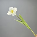 Miniatyrbilde 1 av 5: Forhjulsutskifting for G10/G20/G10S/S7/T7S/S8 Støvsuger Universalhjul 2 stk