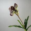 Miniatyrbilde 1 av 6: Simulert Paphiopedilum PVC Føles Ekte Kunstig Blomst Hjemmeinnredning 2-Hodet med Blader Orkidé Myk Dekor Purple Elf