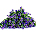 Miniatyrbillede 5 af 5: Kunstige Blomster, Falske UV-resistente Buksbom Buske Faux Plastik Grønne Planter Purple 4