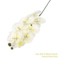 Pikkukuva 1 / 4: 1 kpl Silkkiperhosorkidea Keinotekoiset kukkakimppu Real Touch Phalaenopsis Tekokukat Ruusu Orchid 1