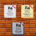 Miniatyrbild 5 av 5: 2021 R4 Gold Pro Sdhc för Ds/3ds/2ds/ Revolution Cartridge med USB adapter Silver 1 Pcs