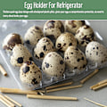Miniatyrbild 4 av 5: 100 st 12 Grids vakteläggslåda Återanvändbar vakteläggskartonger Äggförvaringslåda Transparent kylförvaringslåda Miniäggdispenser med lock för refr. null none