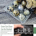 Miniatyrbild 3 av 5: 100 st 12 Grids vakteläggslåda Återanvändbar vakteläggskartonger Äggförvaringslåda Transparent kylförvaringslåda Miniäggdispenser med lock för refr. null none