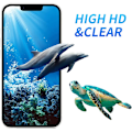 Miniatyrbild 3 av 6: 9D Fulltäckande Skyddsglas För iPhone 14 13 12 11 Pro Max Skärmskydd För iPhone 6 7 8 Plus X XS Max XR MINI Glas For iPhone XS Max Black