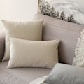 Miniatyrbillede 5 af 5: Sæt med 2 dekorative fløjls pudebetræk Sofa pudebetræk Super glat blød dekoration Hjem Stue Soveværelse til 2 stykker sofa 30X50CM Grå