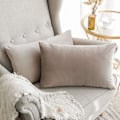 Miniatyrbillede 1 af 4: Sæt med 2 dekorative fløjls pudebetræk Sofa pudebetræk Super glat blød dekoration Hjem Stue Soveværelse til sofa 2 stk 30X50CM Champagne