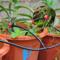 Miniatyrbild 3 av 5: Bevattningssystem 25m, bevattningsset mikrodroppbevattningssats automatisk sprinkler droppbevattning trädgårdsbevattning