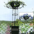 Miniatyrbilde 1 av 3: Hagestativ for klatreplanter og blomster, metall plantestativ for utendørs bruk snngv 90cm