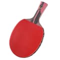 Pingisracket Carbon Performance-nivå Bordtennisracket för turneringsspel
