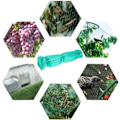 Miniatyrbillede 2 af 5: 2 stk. Have Net til Have, Fuglenet til Havehegn, Vinmark Frugt Grøntsager Planter Damhegn, 2x10M