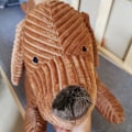 Miniatyrbild 5 av 5: Söt Gosig Kudde Plush Fylld Kortbenad Tax Fylld Kudde Kollektion För Hem Kontor Ny