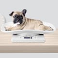 Miniatyrbillede 2 af 4: 10kg/1g Digital Vægt til Små Dyr til Præcis Måling
