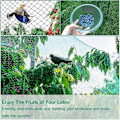 Miniatyrbillede 4 af 5: 2 stk. Have Net til Have, Fuglenet til Havehegn, Vinmark Frugt Grøntsager Planter Damhegn, 2x10M
