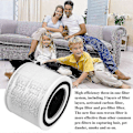 Miniatyrbillede 3 af 5: Core 300 Luftfiltre Ægte Hepa Filter Udskiftning Til Levoit Core 300