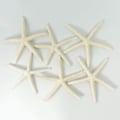 Miniatyrbilde 3 av 5: 12 stk Hvite Fingerstjerner 5-10cm Dekorative fem-fingerstjerner