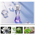 Miniatyrbillede 5 af 5: Kvinders Eau de Toilette Parfumesæt Bærbar Elegant Duft Parfumespray