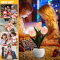 Miniatyrbillede 5 af 5: Tulip Lampe Lys Bordlampe Blomster Skrivebordslampe LED Tulip Natlampe til Stue Soveværelse til Værelse GreenPink