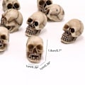 Miniatyrbilde 2 av 5: 20 stk/sett Halloween Mini Skulls Realistiske Skulls Miniatyr Resin Menneskelig Skjelett Hodeskalle For Vase Bar Hjemmebord Dekor