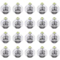 Miniatyrbilde 1 av 4: 20 stk LED Mini Rund Ballong Lys Julefest LED Ballonger Lys for Juledekorasjon